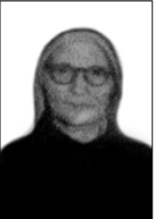 Irmã Albina Desordi